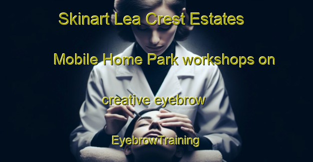 Skinart Lea Crest Estates Mobile Home Park workshops on creative eyebrow | EyebrowTraining | EyebrowClasses | SkinartTraining-United States