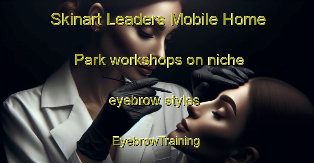 Skinart Leaders Mobile Home Park workshops on niche eyebrow styles | EyebrowTraining | EyebrowClasses | SkinartTraining-United States