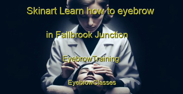 Skinart Learn how to eyebrow in Fallbrook Junction | EyebrowTraining | EyebrowClasses | SkinartTraining-United States