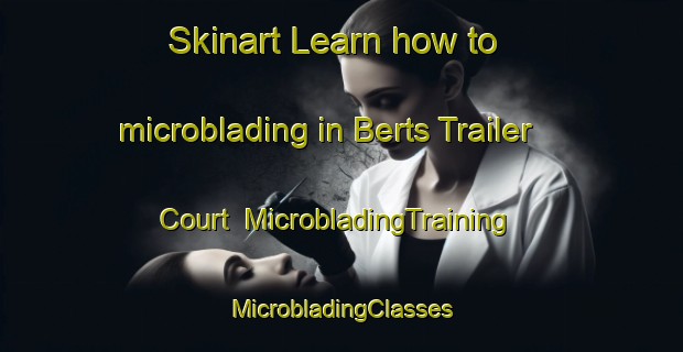 Skinart Learn how to microblading in Berts Trailer Court | #MicrobladingTraining #MicrobladingClasses #SkinartTraining-United States