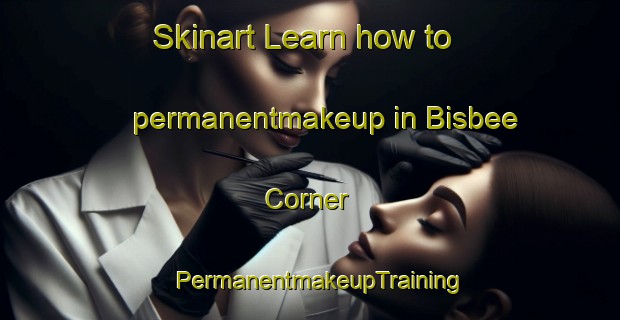 Skinart Learn how to permanentmakeup in Bisbee Corner | PermanentmakeupTraining | PermanentmakeupClasses | SkinartTraining-United States