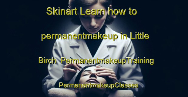 Skinart Learn how to permanentmakeup in Little Birch | #PermanentmakeupTraining #PermanentmakeupClasses #SkinartTraining-United States