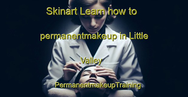 Skinart Learn how to permanentmakeup in Little Valley | #PermanentmakeupTraining #PermanentmakeupClasses #SkinartTraining-United States