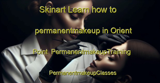 Skinart Learn how to permanentmakeup in Orient Point | PermanentmakeupTraining | PermanentmakeupClasses | SkinartTraining-United States
