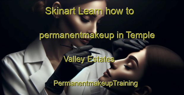 Skinart Learn how to permanentmakeup in Temple Valley Estates | #PermanentmakeupTraining #PermanentmakeupClasses #SkinartTraining-United States