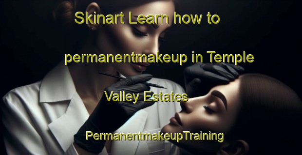 Skinart Learn how to permanentmakeup in Temple Valley Estates | PermanentmakeupTraining | PermanentmakeupClasses | SkinartTraining-United States
