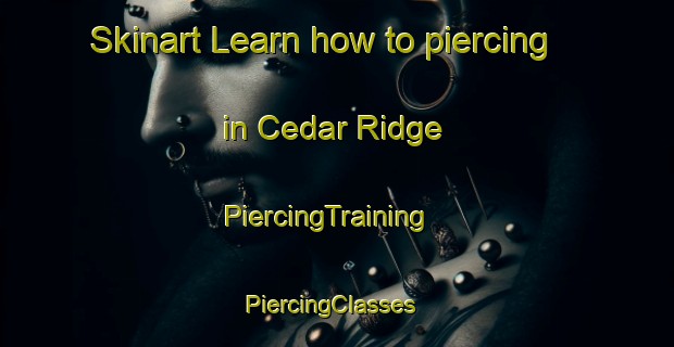 Skinart Learn how to piercing in Cedar Ridge | PiercingTraining | PiercingClasses | SkinartTraining-United States