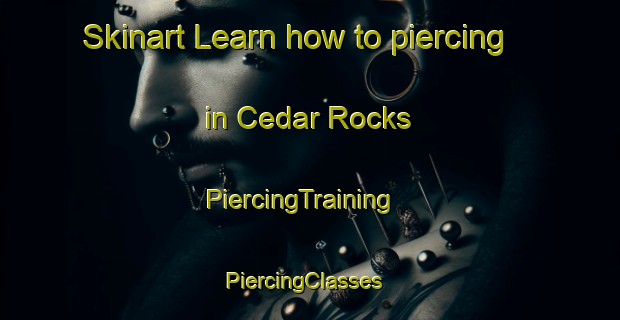 Skinart Learn how to piercing in Cedar Rocks | PiercingTraining | PiercingClasses | SkinartTraining-United States