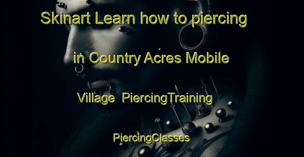 Skinart Learn how to piercing in Country Acres Mobile Village | #PiercingTraining #PiercingClasses #SkinartTraining-United States