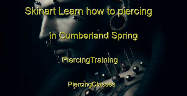 Skinart Learn how to piercing in Cumberland Spring | PiercingTraining | PiercingClasses | SkinartTraining-United States