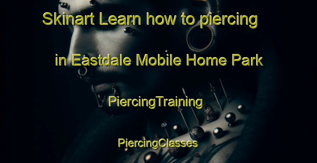 Skinart Learn how to piercing in Eastdale Mobile Home Park | #PiercingTraining #PiercingClasses #SkinartTraining-United States