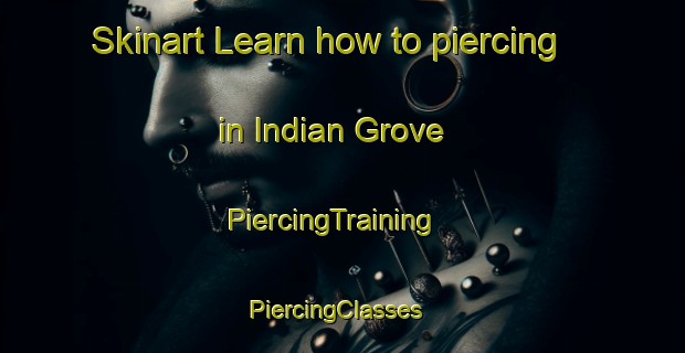 Skinart Learn how to piercing in Indian Grove | PiercingTraining | PiercingClasses | SkinartTraining-United States