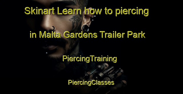 Skinart Learn how to piercing in Malta Gardens Trailer Park | #PiercingTraining #PiercingClasses #SkinartTraining-United States