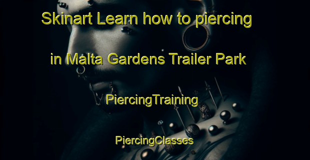 Skinart Learn how to piercing in Malta Gardens Trailer Park | #PiercingTraining #PiercingClasses #SkinartTraining-United States