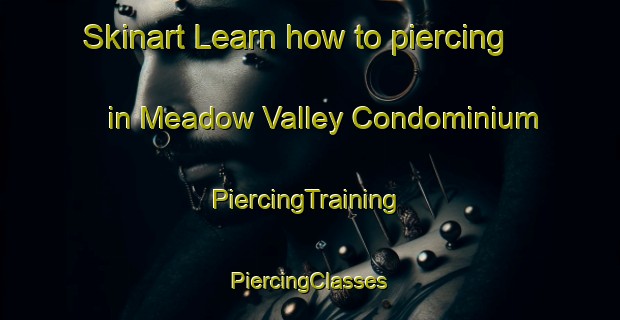 Skinart Learn how to piercing in Meadow Valley Condominium | #PiercingTraining #PiercingClasses #SkinartTraining-United States