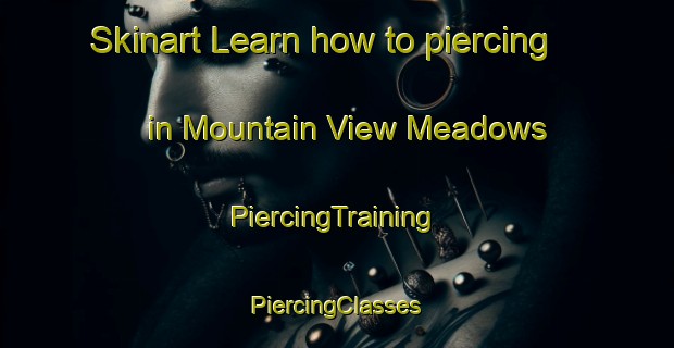 Skinart Learn how to piercing in Mountain View Meadows | #PiercingTraining #PiercingClasses #SkinartTraining-United States