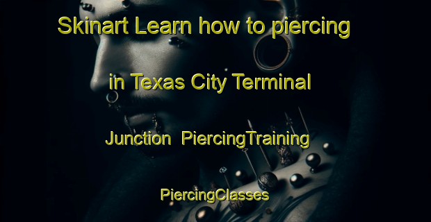 Skinart Learn how to piercing in Texas City Terminal Junction | #PiercingTraining #PiercingClasses #SkinartTraining-United States