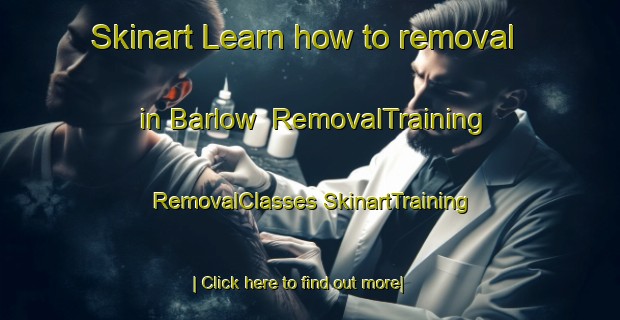 Skinart Learn how to removal in Barlow | #RemovalTraining #RemovalClasses #SkinartTraining-United States