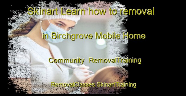 Skinart Learn how to removal in Birchgrove Mobile Home Community | #RemovalTraining #RemovalClasses #SkinartTraining-United States