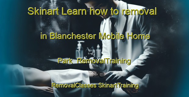 Skinart Learn how to removal in Blanchester Mobile Home Park | #RemovalTraining #RemovalClasses #SkinartTraining-United States