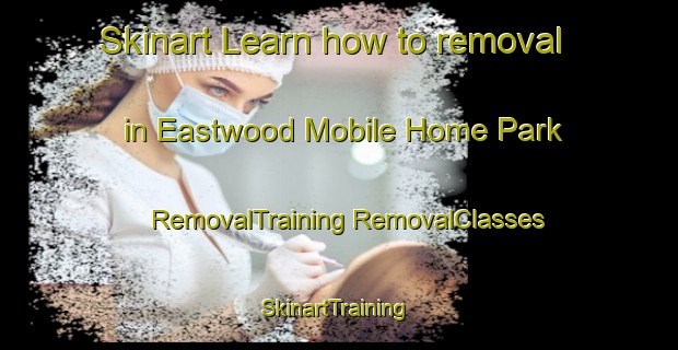 Skinart Learn how to removal in Eastwood Mobile Home Park | #RemovalTraining #RemovalClasses #SkinartTraining-United States