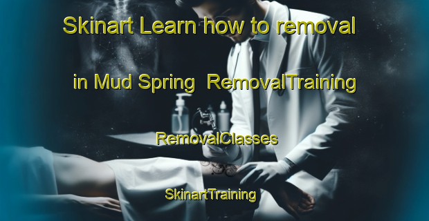 Skinart Learn how to removal in Mud Spring | RemovalTraining | RemovalClasses | SkinartTraining-United States