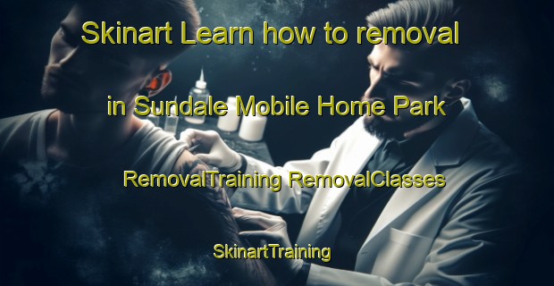 Skinart Learn how to removal in Sundale Mobile Home Park | #RemovalTraining #RemovalClasses #SkinartTraining-United States