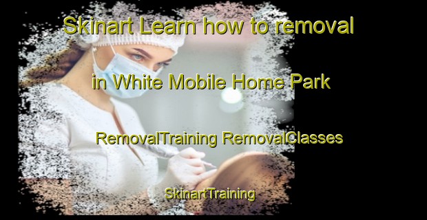 Skinart Learn how to removal in White Mobile Home Park | #RemovalTraining #RemovalClasses #SkinartTraining-United States