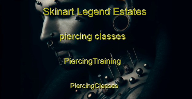 Skinart Legend Estates piercing classes | PiercingTraining | PiercingClasses | SkinartTraining-United States