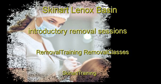 Skinart Lenox Basin introductory removal sessions | #RemovalTraining #RemovalClasses #SkinartTraining-United States