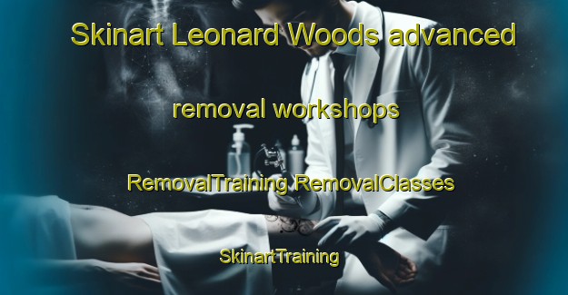 Skinart Leonard Woods advanced removal workshops | #RemovalTraining #RemovalClasses #SkinartTraining-United States