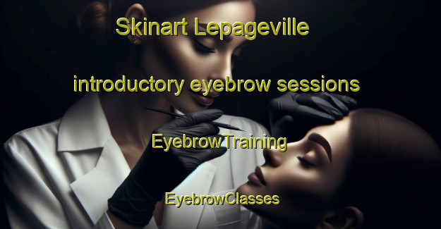 Skinart Lepageville introductory eyebrow sessions | EyebrowTraining | EyebrowClasses | SkinartTraining-United States
