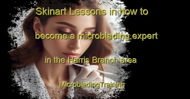 Skinart Lessons in how to become a microblading expert in the Harris Branch area | MicrobladingTraining | MicrobladingClasses | SkinartTraining-United States