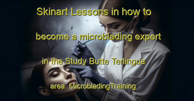 Skinart Lessons in how to become a microblading expert in the Study Butte Terlingua area | MicrobladingTraining | MicrobladingClasses | SkinartTraining-United States