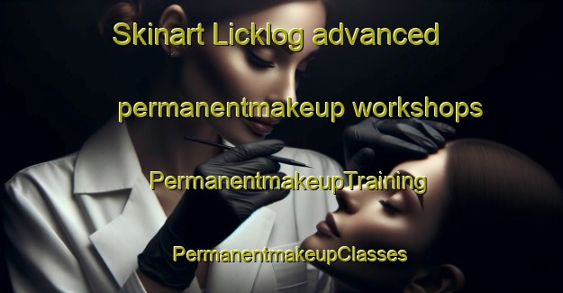Skinart Licklog advanced permanentmakeup workshops | PermanentmakeupTraining | PermanentmakeupClasses | SkinartTraining-United States