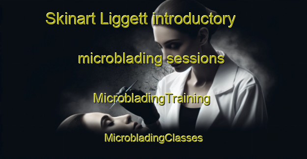 Skinart Liggett introductory microblading sessions | #MicrobladingTraining #MicrobladingClasses #SkinartTraining-United States