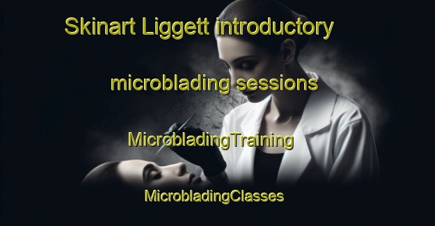Skinart Liggett introductory microblading sessions | MicrobladingTraining | MicrobladingClasses | SkinartTraining-United States