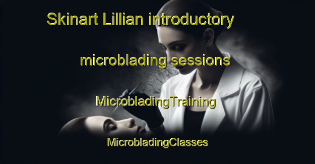 Skinart Lillian introductory microblading sessions | #MicrobladingTraining #MicrobladingClasses #SkinartTraining-United States