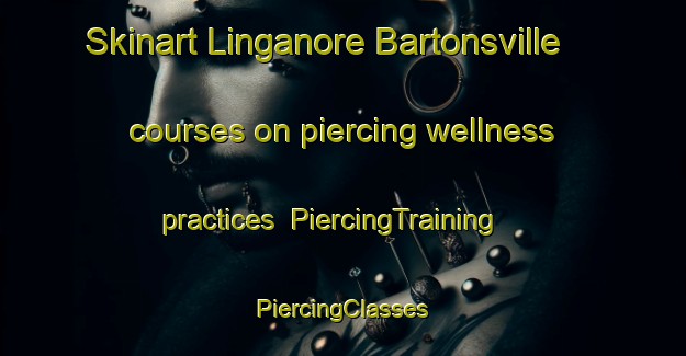 Skinart Linganore Bartonsville courses on piercing wellness practices | #PiercingTraining #PiercingClasses #SkinartTraining-United States