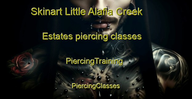 Skinart Little Alafia Creek Estates piercing classes | #PiercingTraining #PiercingClasses #SkinartTraining-United States