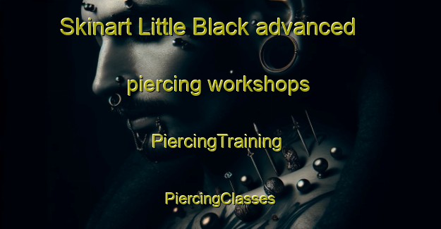 Skinart Little Black advanced piercing workshops | #PiercingTraining #PiercingClasses #SkinartTraining-United States