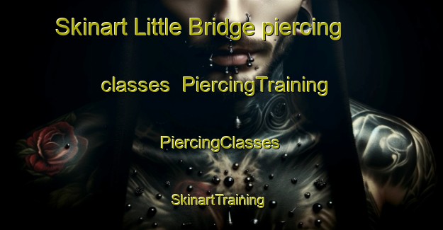 Skinart Little Bridge piercing classes | #PiercingTraining #PiercingClasses #SkinartTraining-United States