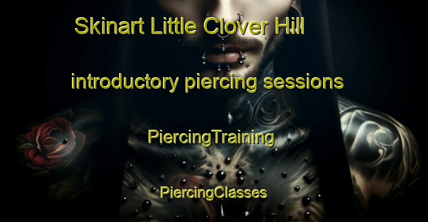 Skinart Little Clover Hill introductory piercing sessions | #PiercingTraining #PiercingClasses #SkinartTraining-United States