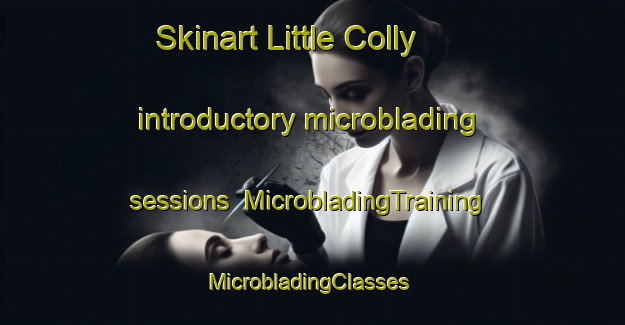 Skinart Little Colly introductory microblading sessions | MicrobladingTraining | MicrobladingClasses | SkinartTraining-United States