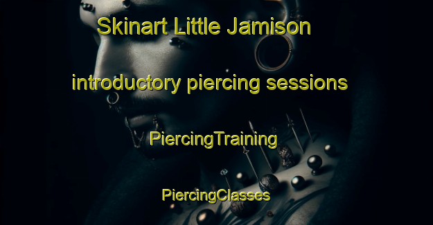 Skinart Little Jamison introductory piercing sessions | #PiercingTraining #PiercingClasses #SkinartTraining-United States