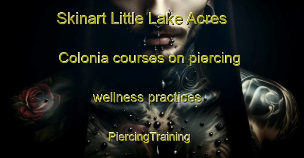 Skinart Little Lake Acres Colonia courses on piercing wellness practices | #PiercingTraining #PiercingClasses #SkinartTraining-United States