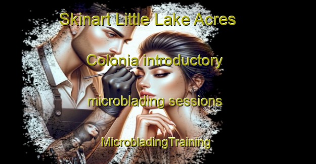 Skinart Little Lake Acres Colonia introductory microblading sessions | #MicrobladingTraining #MicrobladingClasses #SkinartTraining-United States