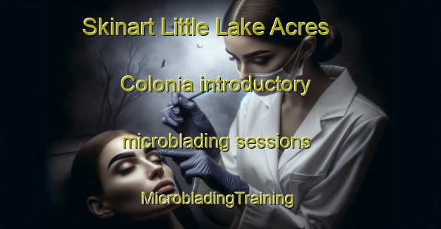 Skinart Little Lake Acres Colonia introductory microblading sessions | #MicrobladingTraining #MicrobladingClasses #SkinartTraining-United States