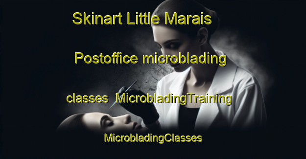 Skinart Little Marais Postoffice microblading classes | #MicrobladingTraining #MicrobladingClasses #SkinartTraining-United States