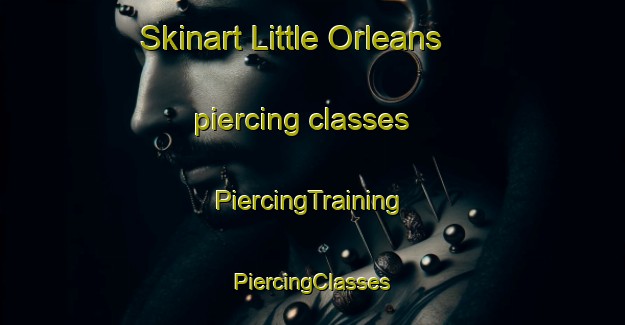 Skinart Little Orleans piercing classes | #PiercingTraining #PiercingClasses #SkinartTraining-United States